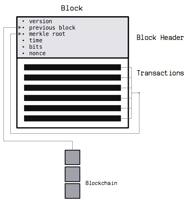 Block Header Structure